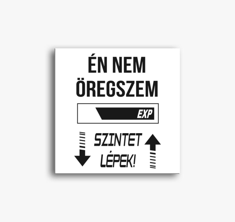Nem öregszem szintet lépek vászonkép