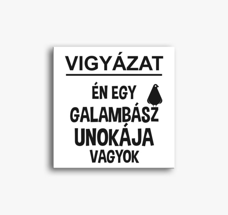 Galambász unoka vászonkép