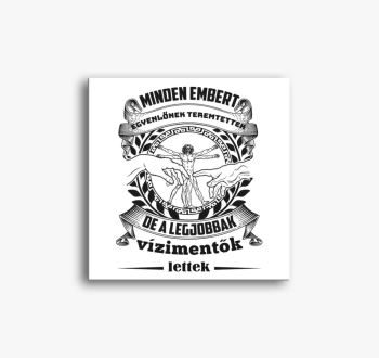 Vizimentő vászonkép