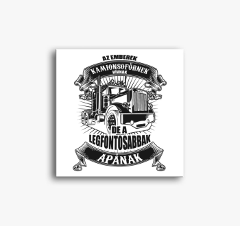 Kamionos apuka vászo