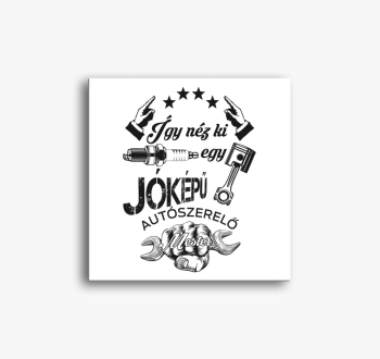 Egy jóképű autószere...