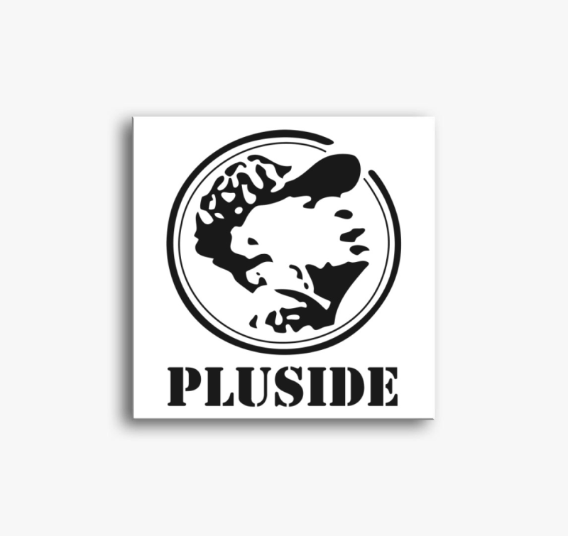 Pluside vászonkép - A Rapcsapat hivatalos vászonképja!