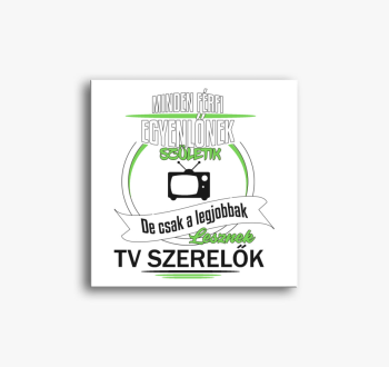 TV szerelő vászonkép