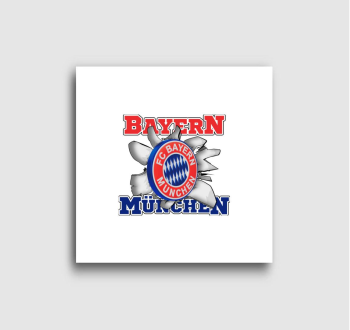 FC Bayern München fo...