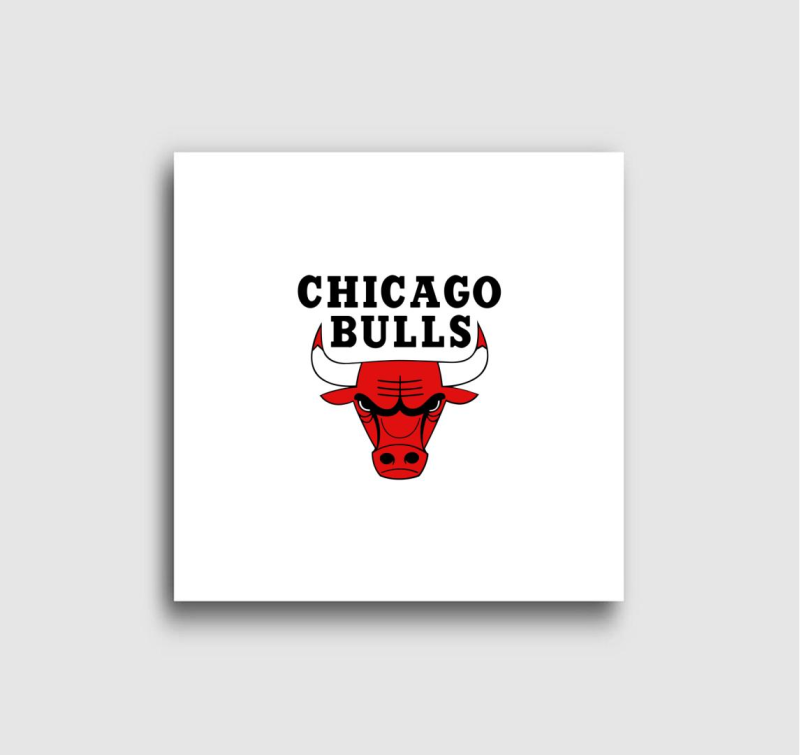 Chicago Bulls vászonkép