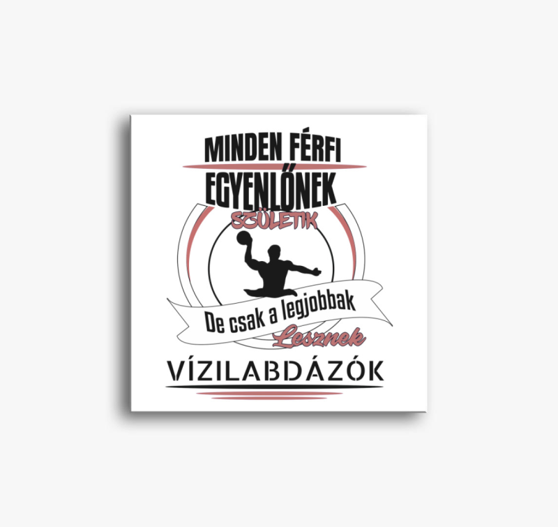 A legjobbak lesznek vizilabdások vászonkép