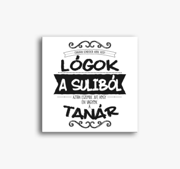 Lógós Tanár 2 vászon