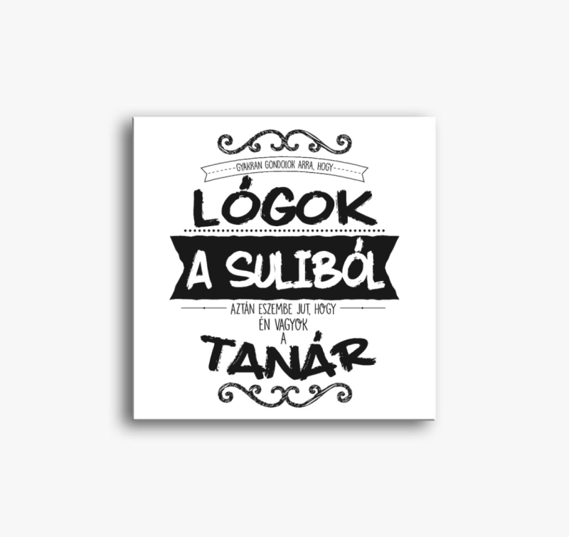 Lógós Tanár 2 vászonkép