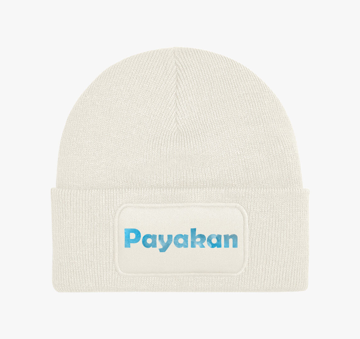 Payakan téli sapka