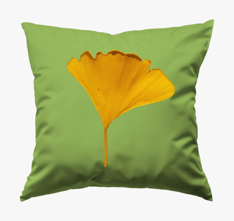 Ginkgo párna — Zöld