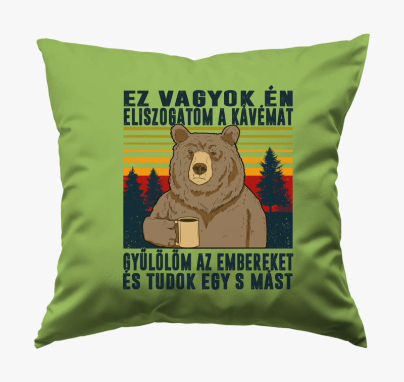 Kiégett medve párna — Zöld