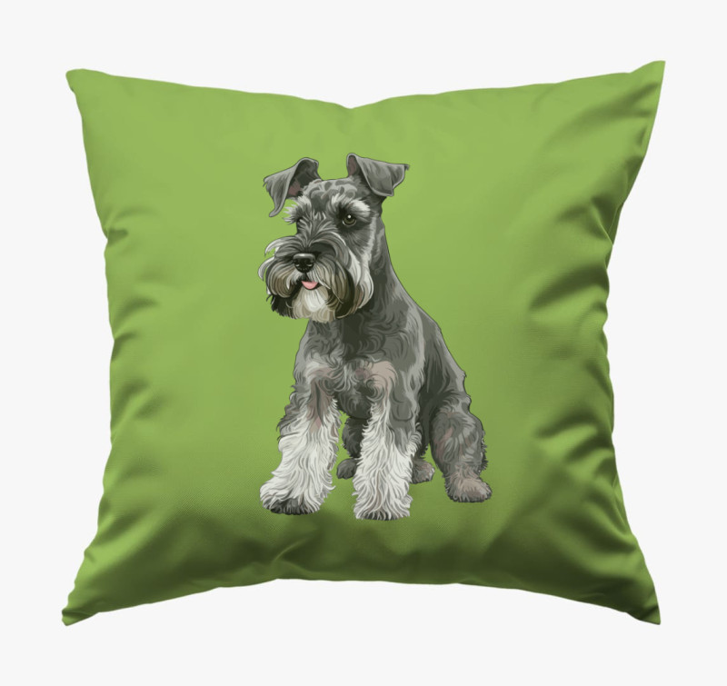 Schnauzer párna — Zöld