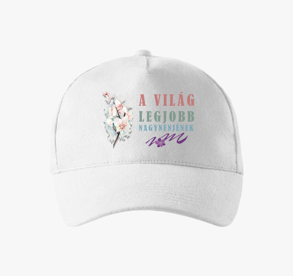 A világ legjobb nagynénje baseball sapka — Fehér