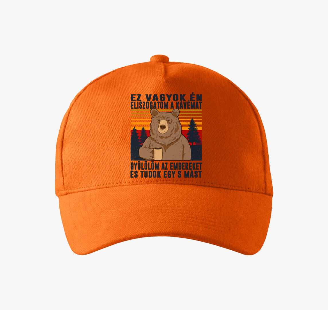 Kiégett medve baseball sapka — Narancs