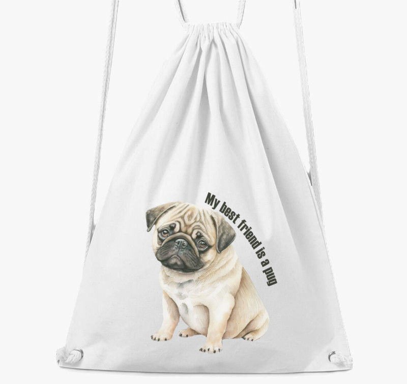 My best friend is a pug tornazsák — Fehér