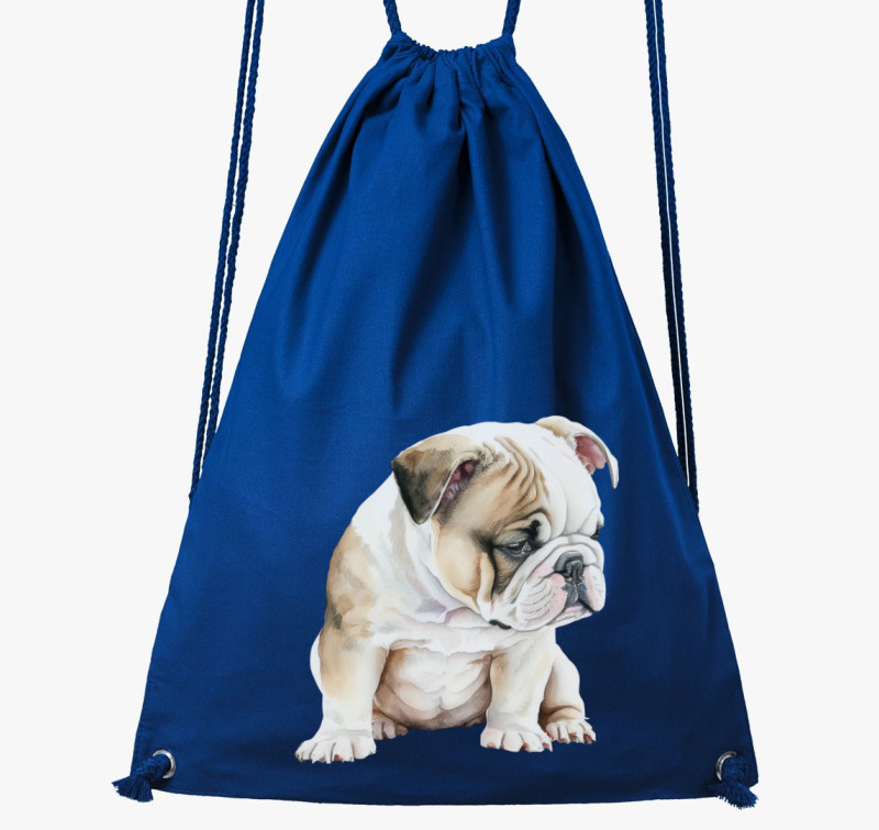 Angol bulldog tornazsák — Királykék