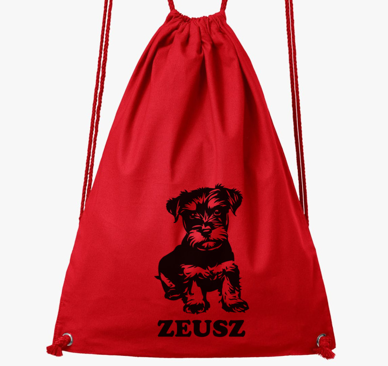 Schnauzer névvel 3 tornazsák — Piros