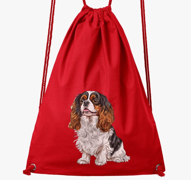 Spaniel tornazsák — Piros