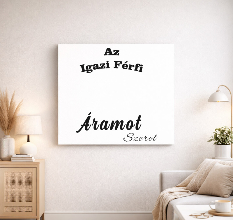 Az igazi férfi áramot szerel vászonkép — Fehér
